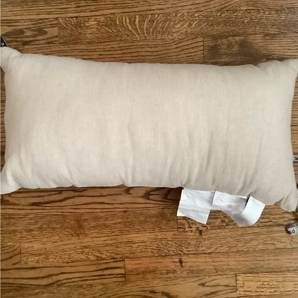 NWT Friends x Pottery Barn Decor Pillow - Picture 9 of 10